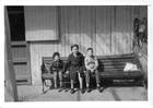 Primos en la caballeriza Primos en la caballeriza