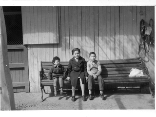 Primos en la caballeriza Primos en la caballeriza