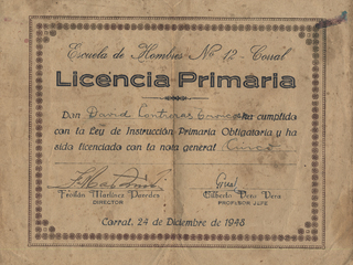 Licencia Primaria