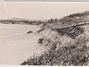 Vía férrea a 300 metros de Los Lagos