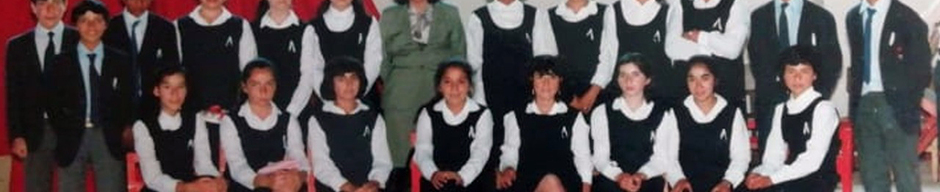 Licenciatura 8° básico Licenciatura 8° básico