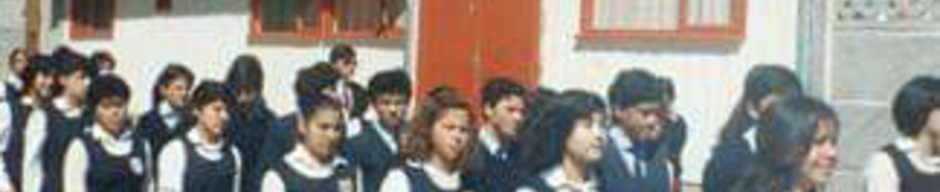 Desfile de fiestas patrias Desfile de fiestas patrias