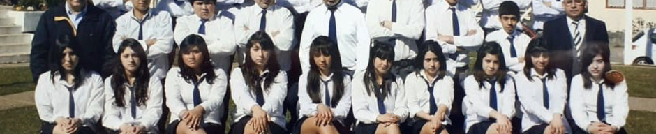Licenciatura 8° básico Licenciatura 8° básico