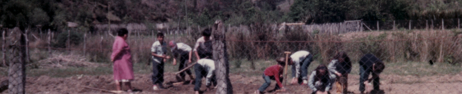 Alumnos de la Escuela de Huape