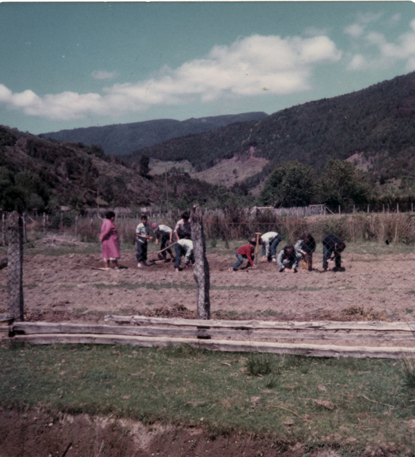 Alumnos de la Escuela de Huape