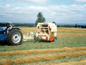 Máquina cosechadora de fibra