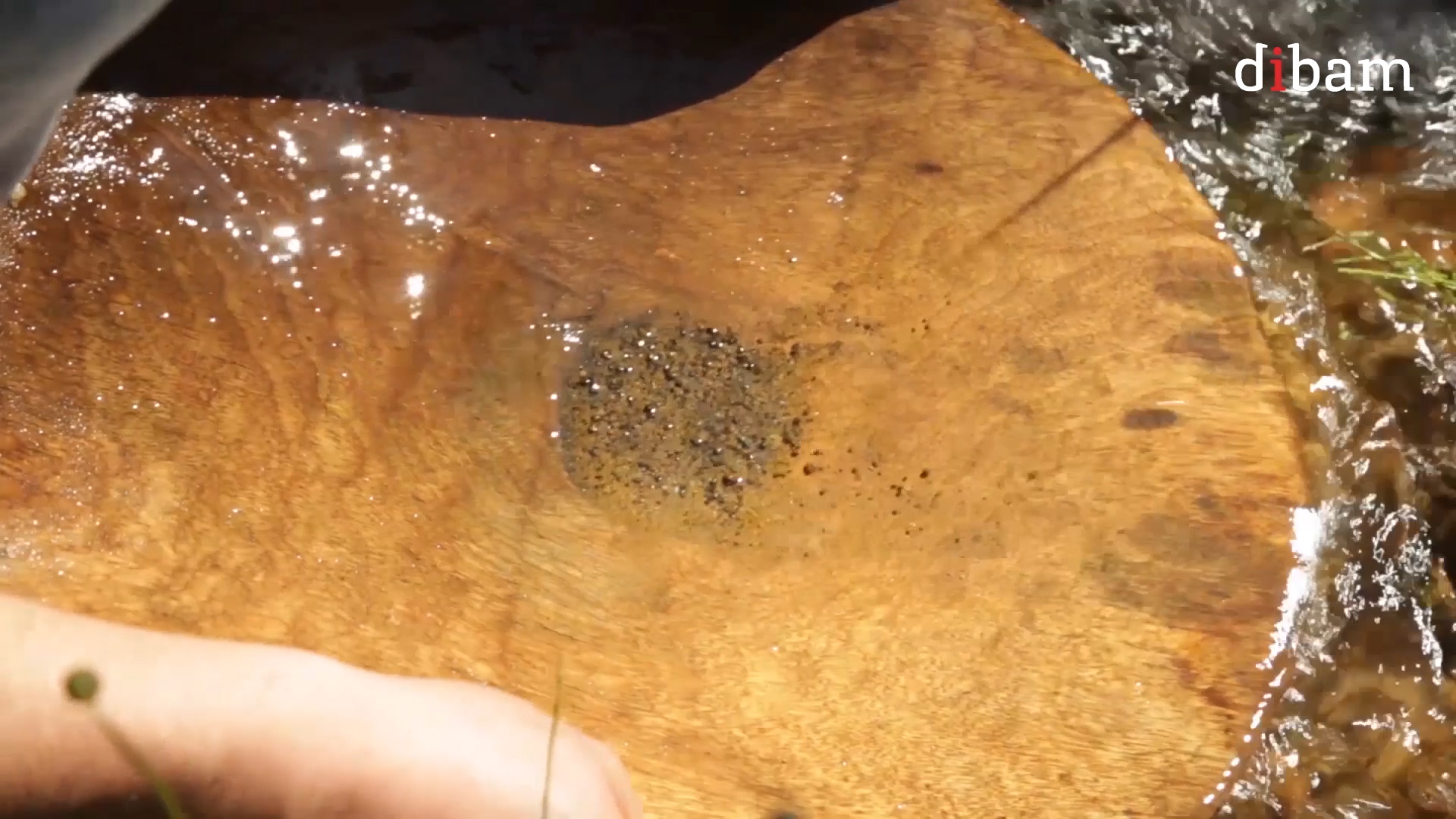 Documental "La fiebre del oro en Hueima" Documental "La fiebre del oro en Hueima"