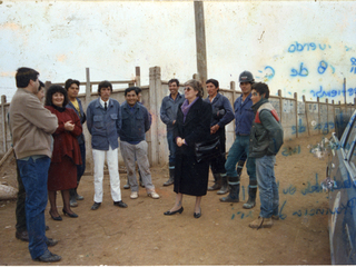 Brigadistas de bomberos