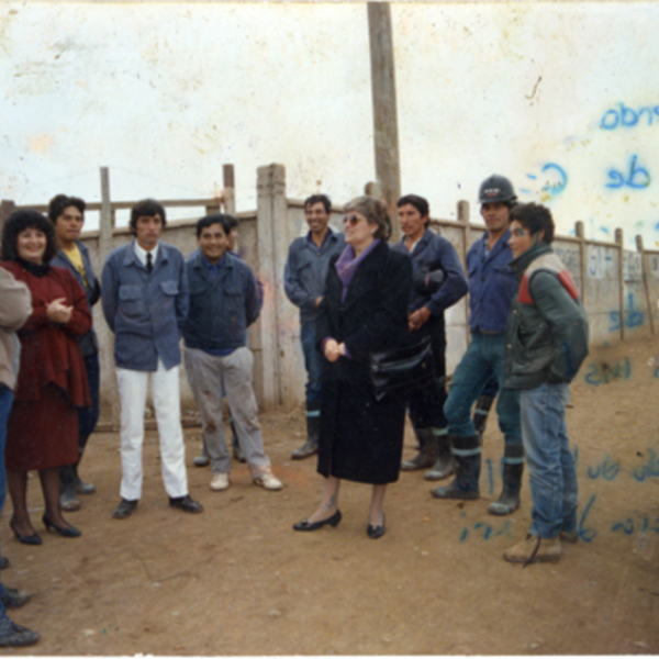 Brigadistas de bomberos