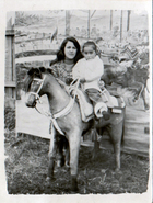 Rodeo de Purranque Rodeo de Purranque