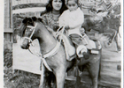 Rodeo de Purranque Rodeo de Purranque