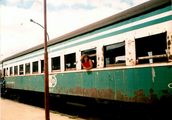 Viaje en tren Purranque – Santiago