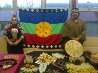 Cóctel mapuche Cóctel mapuche