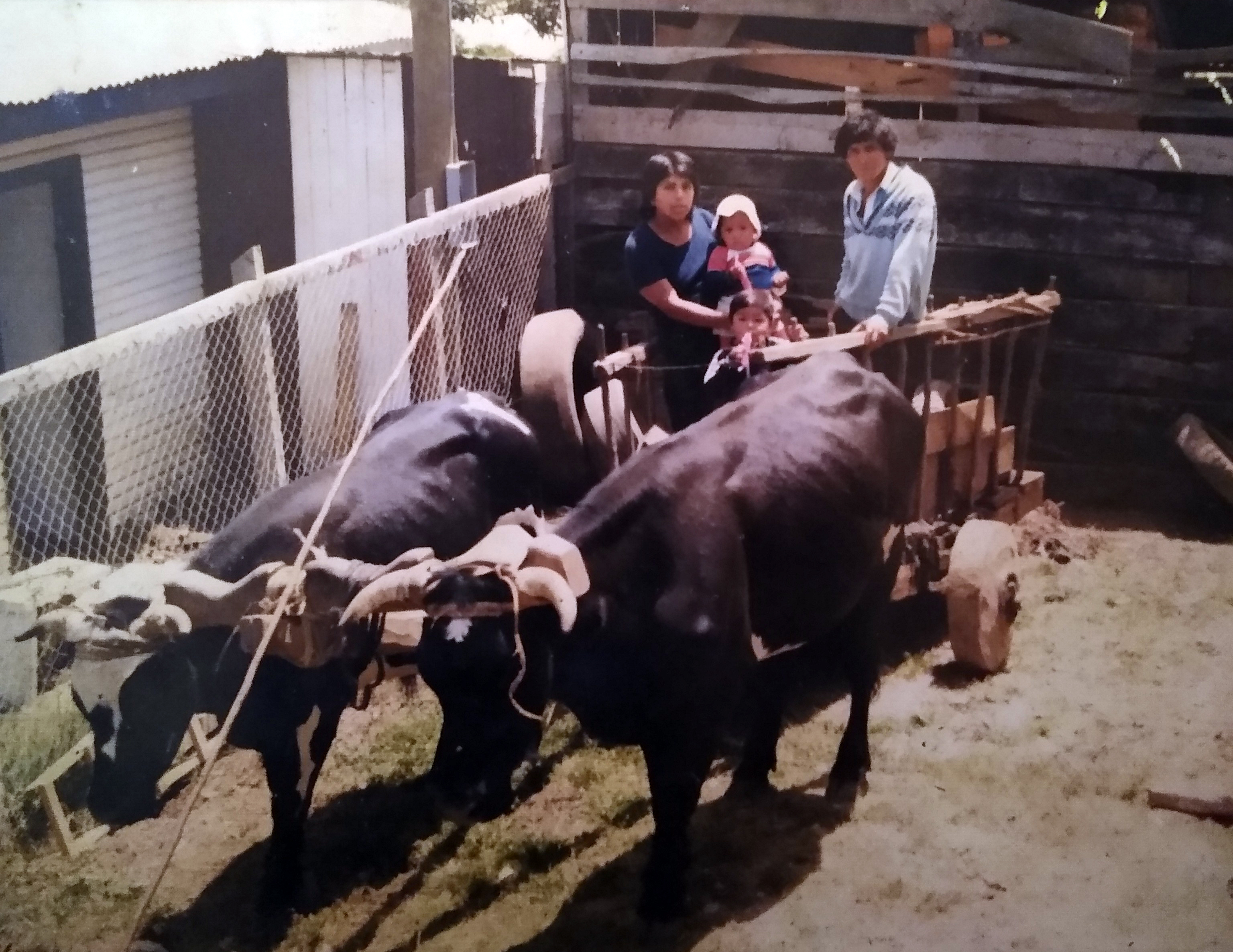 Familia Huichicoy Chicuy