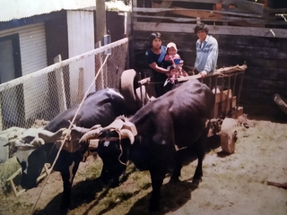 Familia Huichicoy Chicuy