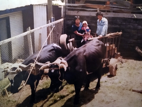 Familia Huichicoy Chicuy