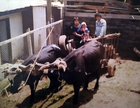 Familia Huichicoy Chicuy Familia Huichicoy Chicuy