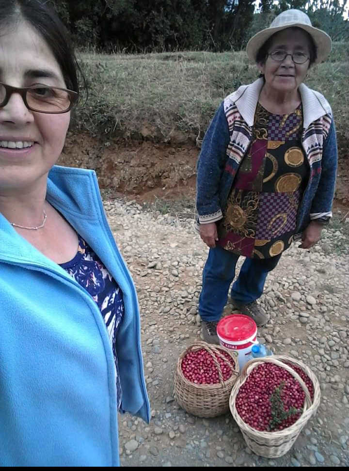 Lorena Antillanca Ñanco y su madre Lidia Ñanco Ñanco en temporada de murta
